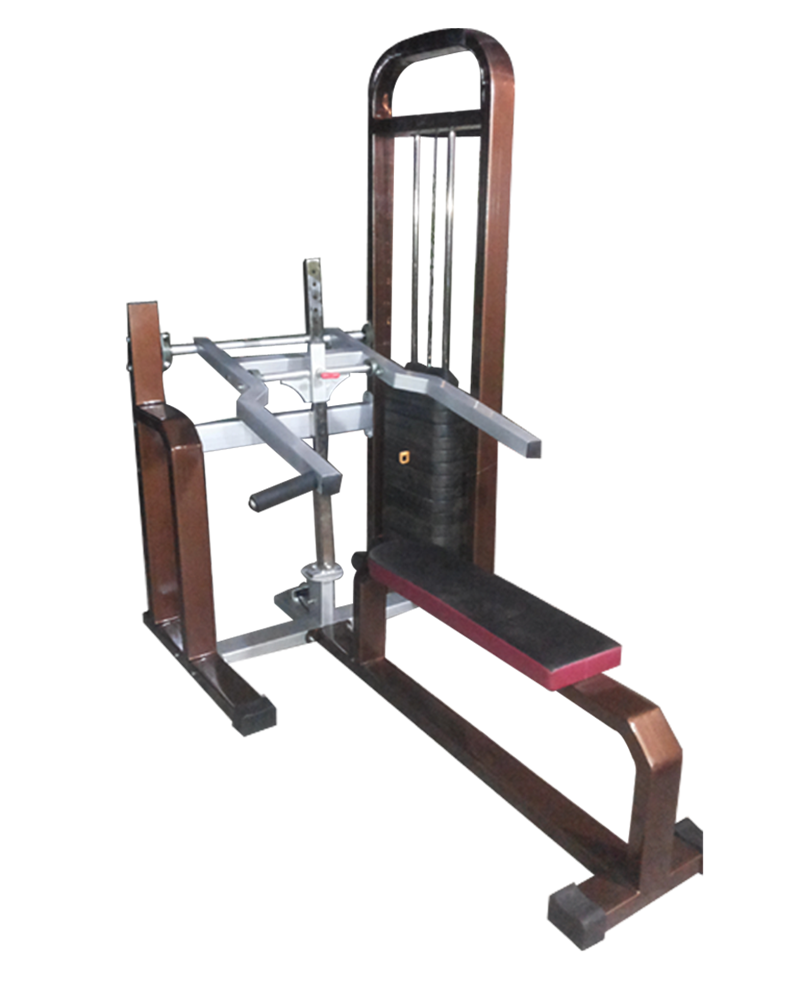 Chest Press gym equipment manufacturers in india