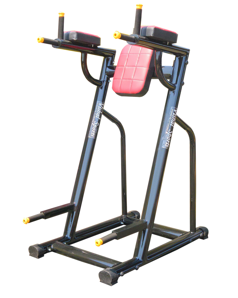 Leg Raise fitness equipment manufacturers