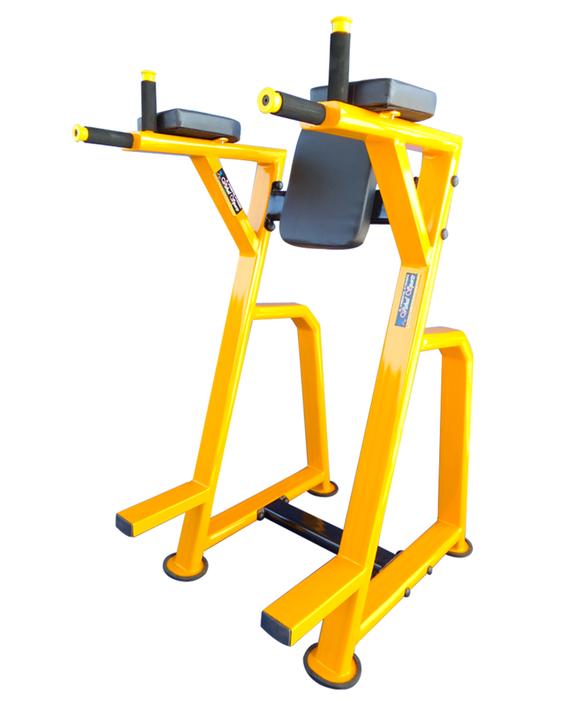 Leg Raise Fitness Equipment Manufacturers In India