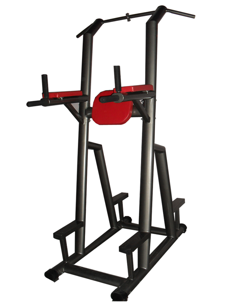 Leg Raise gym and fitness equipment