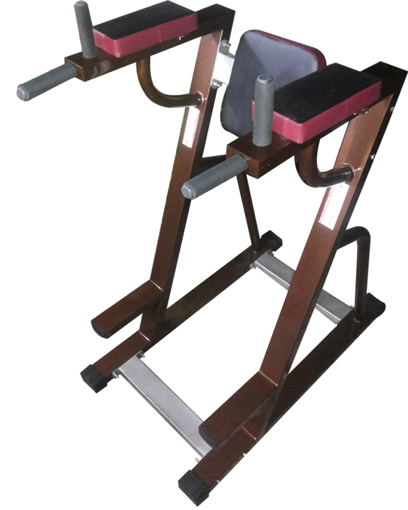 Leg Raise Best Exercise Equipment Manufacture In India